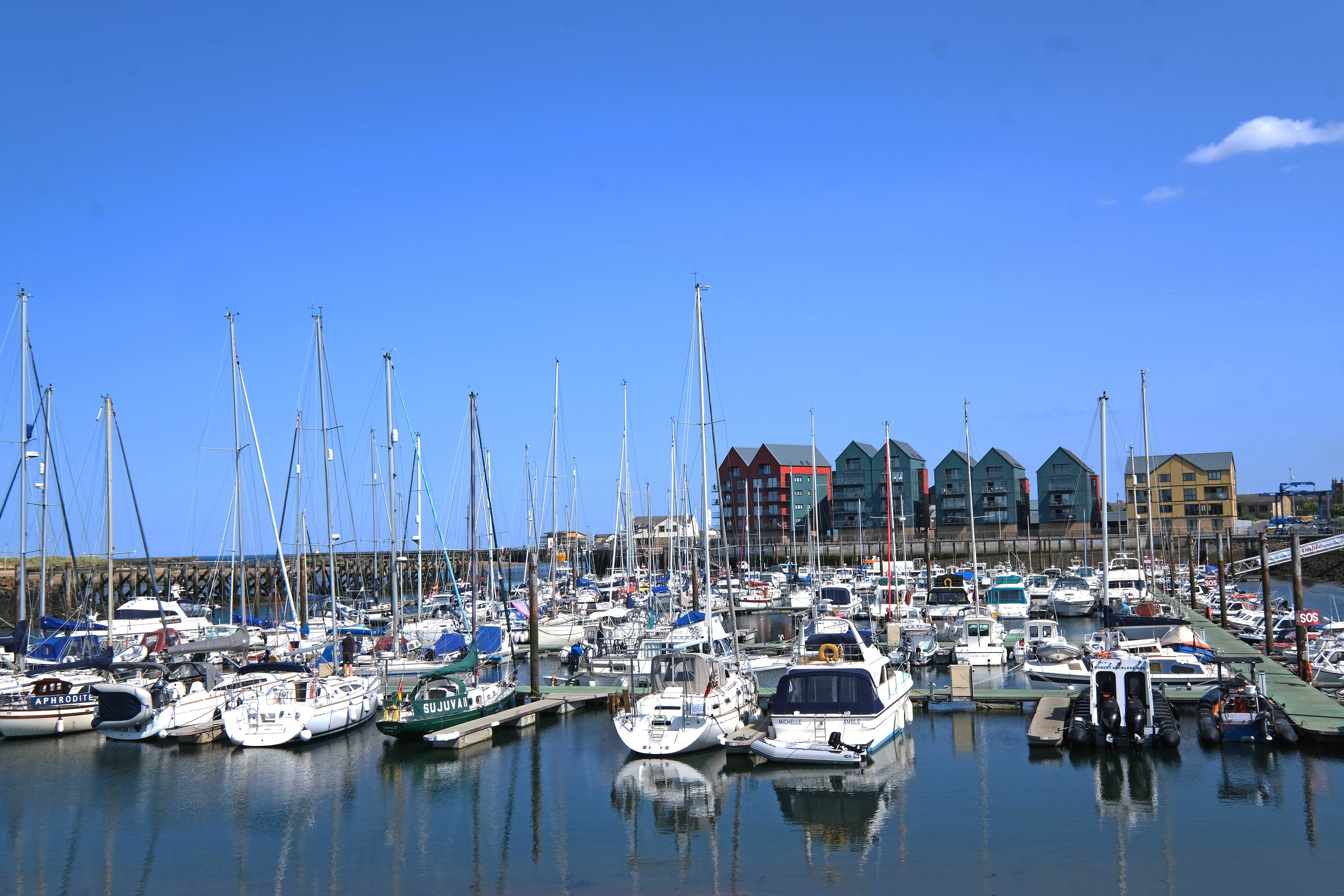 Leading Estate Agents in the North East Rook Matthews Sayer