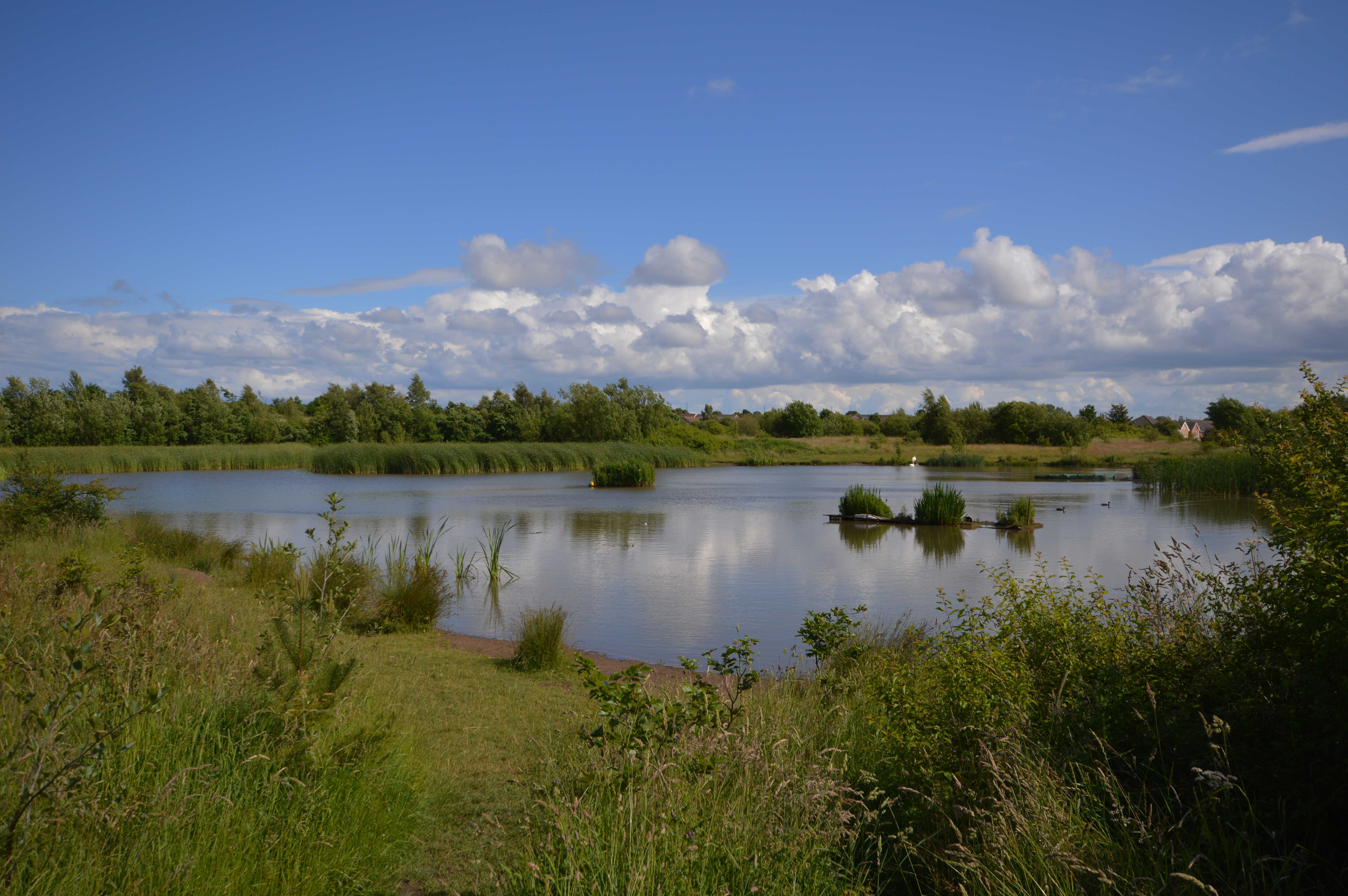 Leading Estate Agents in the North East Rook Matthews Sayer