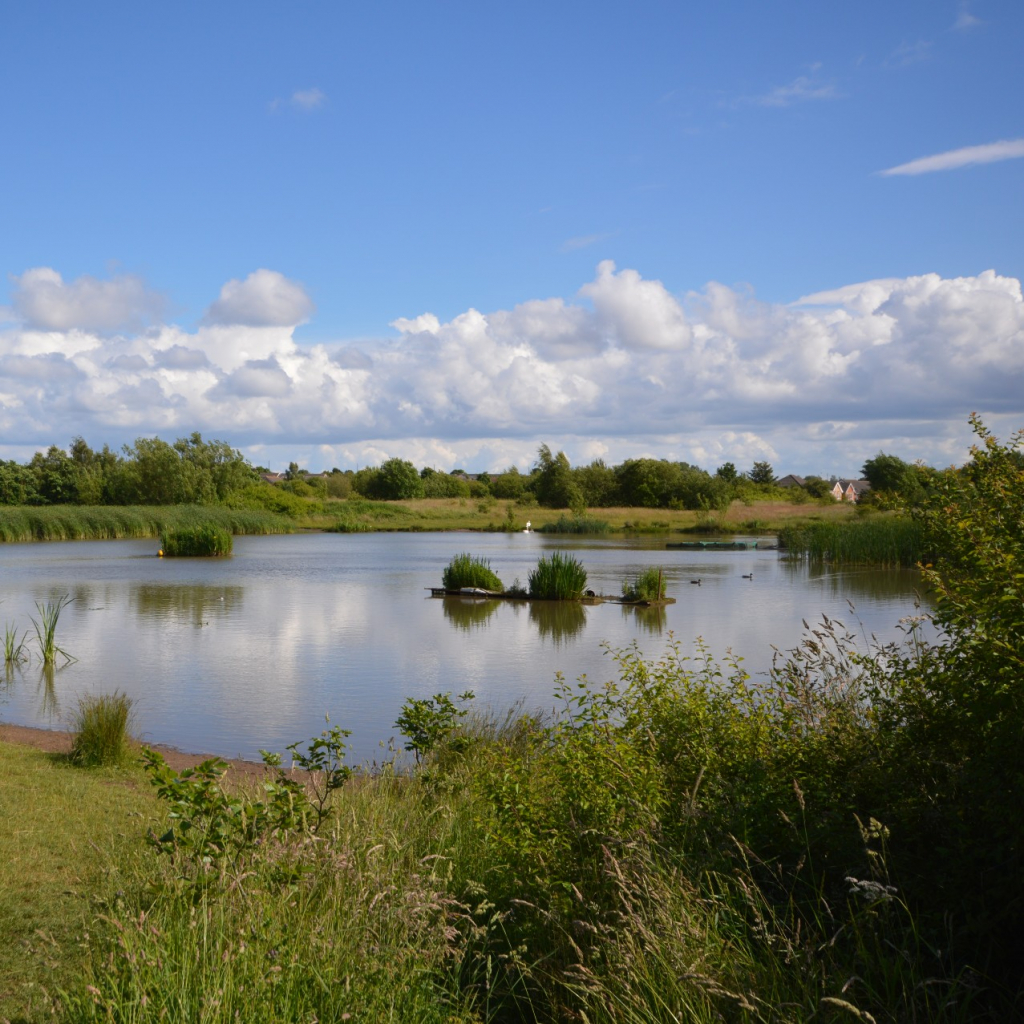 Killingworth Lake