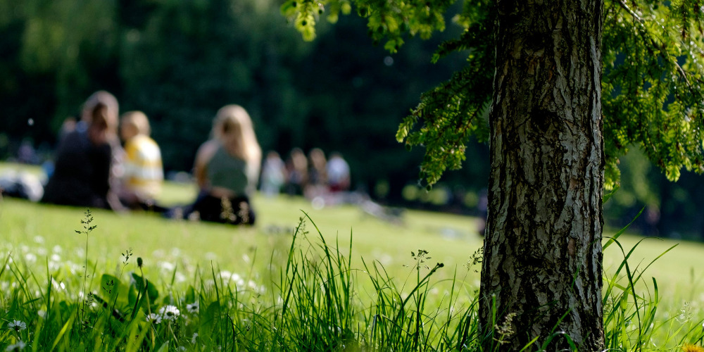 Green spaces for family fun and socialisation.
