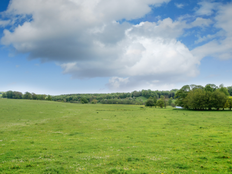 Alnwick Landscape