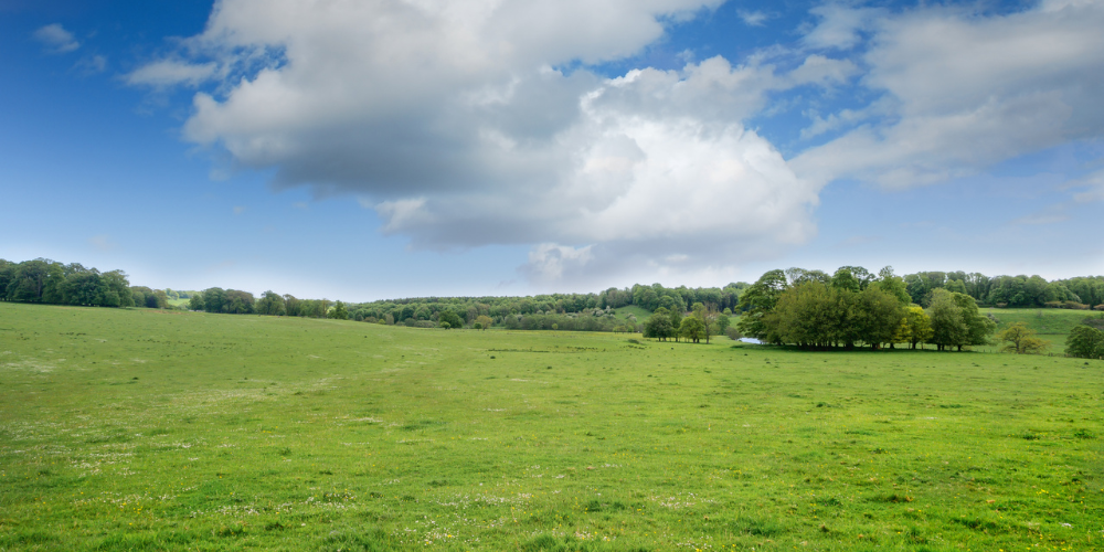Alnwick Landscape