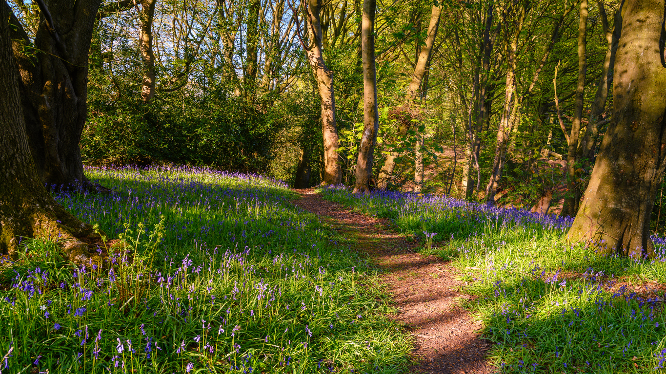 How Does the Property Management Process Work at An Estate Agent in Morpeth