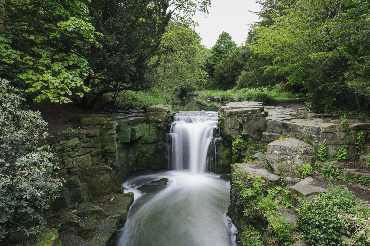 Jesmond is a Prime Area in the North East Property Market. Buy a home from an Rooks Matthews Sayer Estate Agent Jesmond