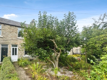 Edington Gardens, Clara Vale