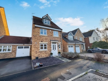 Sandringham Meadows, Blyth