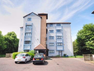 Witton Court,Fawdon