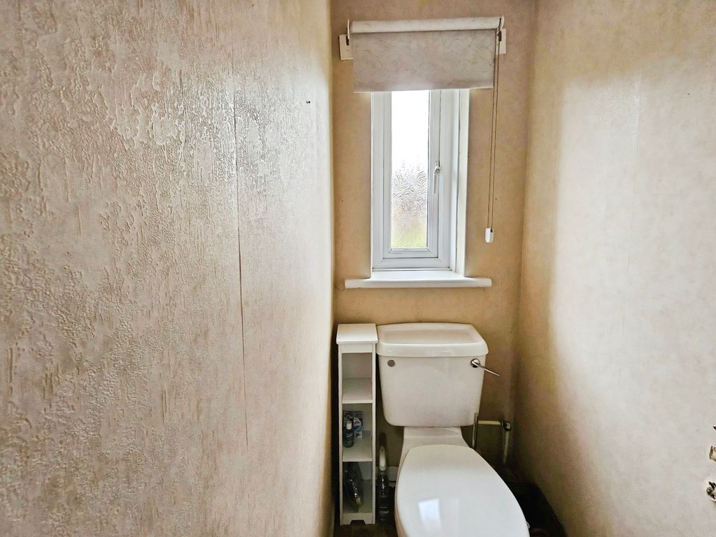 BD009061-wc